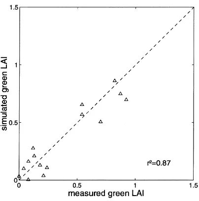 Fig. 5. Comparison of simulated and measured green LAI(1990–1991).