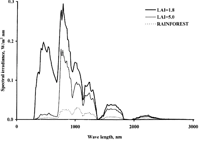 Fig. 5. Typical downward spectral irradiance inside the canopy (clear sky).