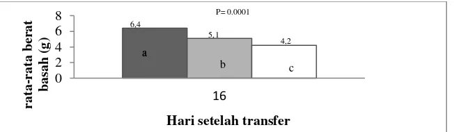 Grafik 4.   Perubahan Kadar Klorofil Kangkung Darat  