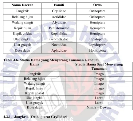 Tabel 4.5. Daftar Nama Hama yang Ditemukan di Lokasi Penelitian 