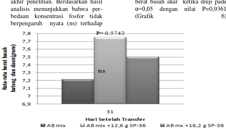 Grafik  4: Perubahan Kadar Klorofil Tanaman Bayam Hijau Hari Ke-18 Sampai Hari Ke-31 Setelah Transfer 