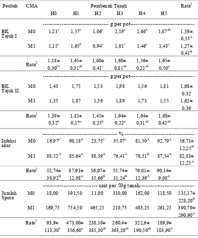 Tabel 2. Rataan Bobot Kering Tajuk I, Bobot Kering Tajuk II, Infeksi Akar dan Jumlah Spora pada tanaman P.javanica 