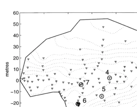 Fig. 1. Location of instruments in the Minifelt catchment. Trian-gles indicate piezometer locations, numbered circles the positionof the logged boreholes and ‘P’ the location of the rain gauge