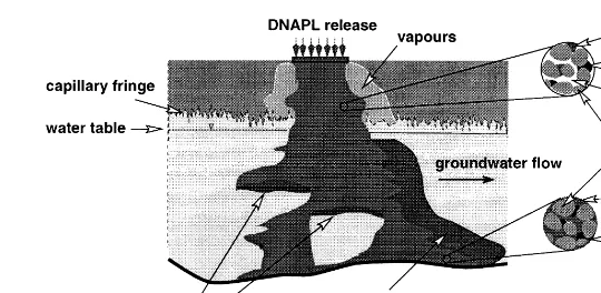 Fig. 1. General groundwater contamination scenario associated with dense non-aqueous phase liquids.