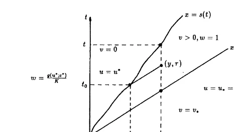 Fig. 4. Dissolution front in the (x,t)-plane.