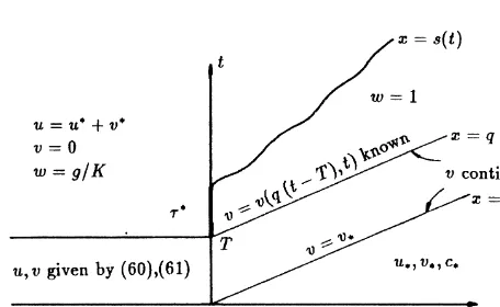 Fig. 9. Concentrations in the (x,t)-plane.