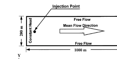 Fig. 2. Size and orientation of the ﬂow domain. Also shown arethe boundary conditions, mean velocity direction, and location ofthe solute injection point.