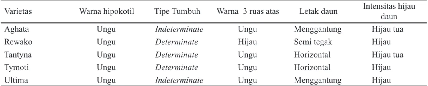 Tabel 1. Karakter kualitatif fase vegetatif dari lima varietas tomat