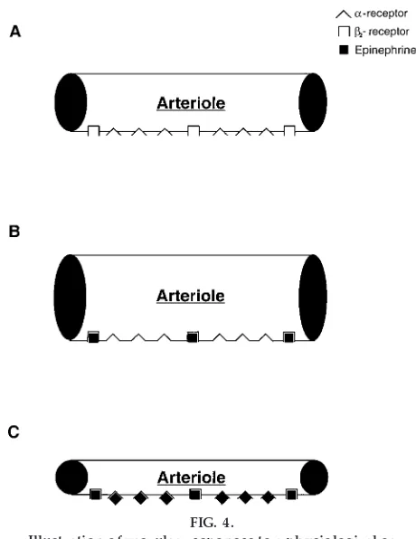 FIG. 4.creases stroke volume and thus raises systolic bloodIllustration of vascular responses to a physiological or