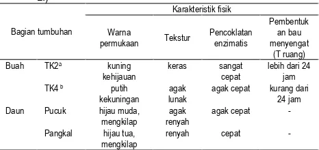 Tabel 1. Karakteristik fisik buah dan daun mengkudu (Morinda citrifolia L.) 