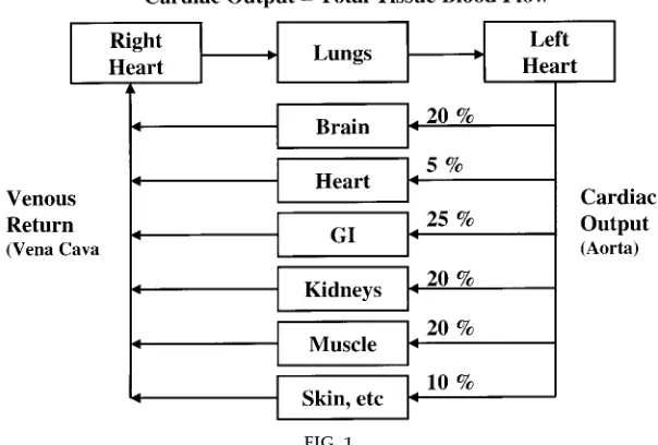 FIG. 1.Relationship between cardiac output and peripheral blood flow regula-