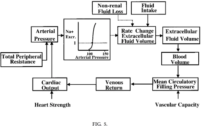 FIG. 4.Conceptual framework for long-term regulation of arterial pressure.