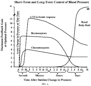 FIG. 6.Time dependency of blood pressure control mechanisms. Approximate