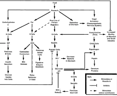 FIG. 9.Concept map for reviewing GI hormones and their functions.