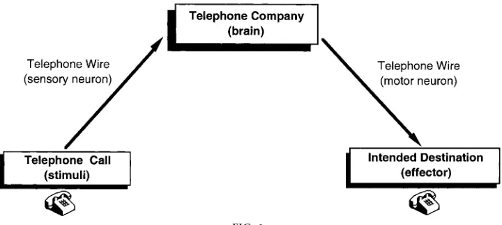 FIG. 1.Schematic comparison of how a phone call can be used to illustrate neural transmission.