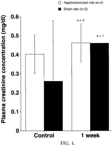 FIG. 1.Rat plasma creatinine concentration in mg/ dl before (con-
