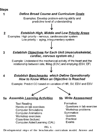 FIG. 1.Developmental steps of the benchmarks curriculum model. Arrows and