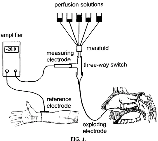 FIG. 1.Schematic drawing of experimental setup to record nasal