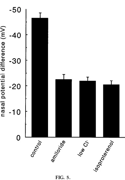 FIG. 5.potential differences in normal human subjects in vivo. Am.
