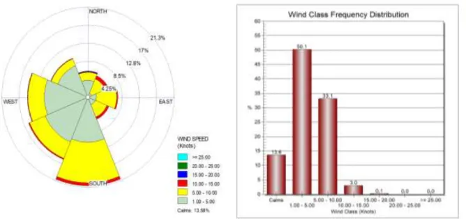 Gambar 16. Windrose Januari 2021 