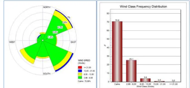 Gambar 12. Grafik parameter cuaca dan mawar angin di kota Banyuwangi hasil observasi Januari 2021   (Sumber: BMKG) 