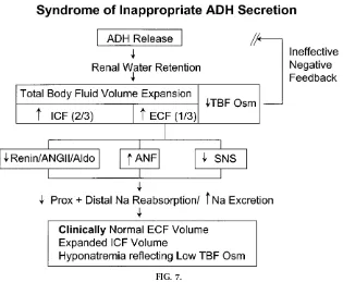 FIG. 7.Syndrome of inappropriate ADH (SIADH) as an example of euvolemic