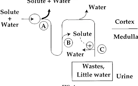 FIG. 3.is to ﬁrst trigger the thirst mechanism (Box 2). Second,Detection system for a water deficit