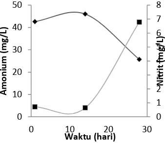 Gambar 1 Perubahan Amonium (pengamonifikasi yang laju pertumbuhannya lebih tinggi, karena dengan pengambilan nutrisi secara langsung  Naiknya amonium pada awal percobaan merupakan indikasi adanya bakteri heterotrof ), Nitrit (■), dan Nitrat (▲) pada Prose