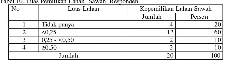 Tabel 10. Luas Pemilikan Lahan  Sawah  Responden 