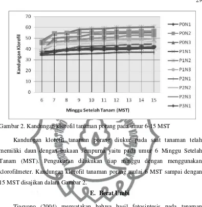 Gambar 2. Kandungan klorofil tanaman porang pada umur 6-15 MST 