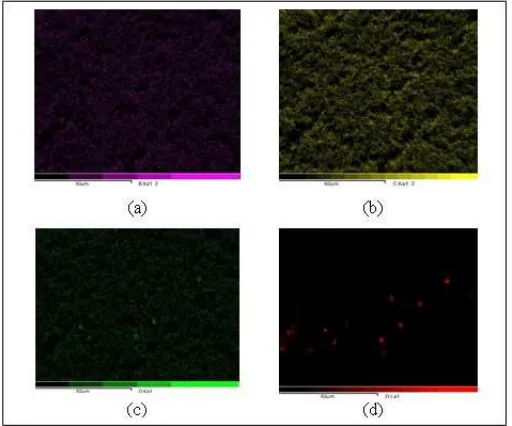 Figure 4.  SEM picture of the surface of the PVdF-LiBOB-ZrO2 polymer electrolyte membrane with variations of ZrO2 (a) 0%; (B) 2.5%; (C) 5% and (d) 7.5% 