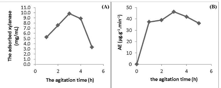 Figure 5 . Plot of the agitation time vs: (a) the adsorbed xylanase with zeolite dan (b) the immobilized enzyme activity 