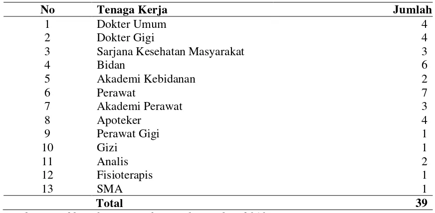 Tabel 4.5. Distribusi Tenaga Kerja Puskesmas Padang Bulan 