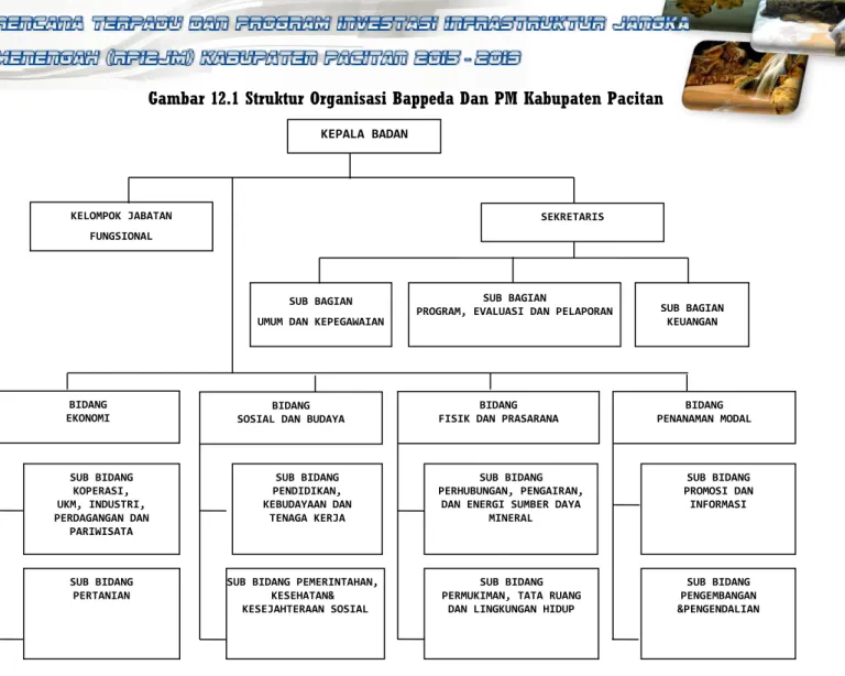 Gambar 12.1 Struktur Organisasi Bappeda Dan PM Kabupaten Pacitan 