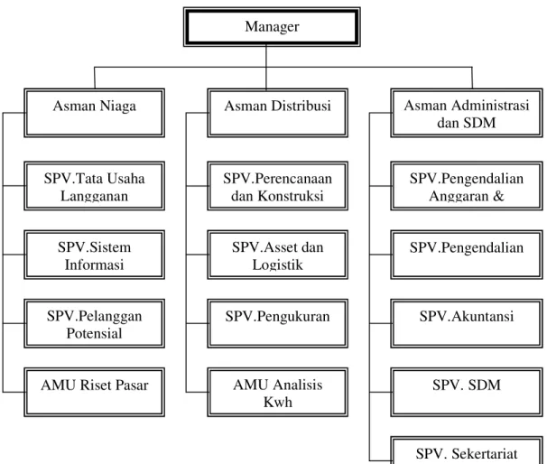 Gambar 2.1 Struktur Organisasi Manager 