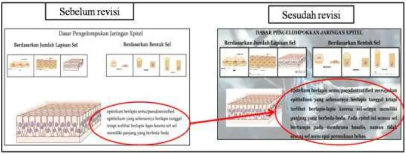 Gambar 4.4  Tampilan pembenahan konsep dari epitelium berlapis semu dalam multimedia interaktif jaringan hewan 