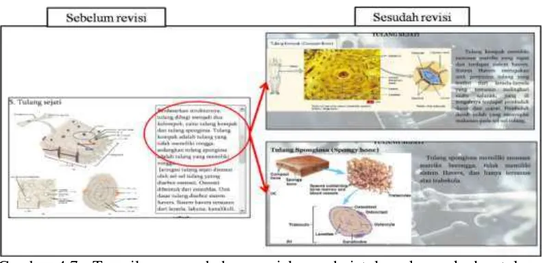Gambar 4.7  Tampilan penambahan penjelasan dari tulang kompak dan tulang spongiosa dalam multimedia interaktif jaringan hewan 