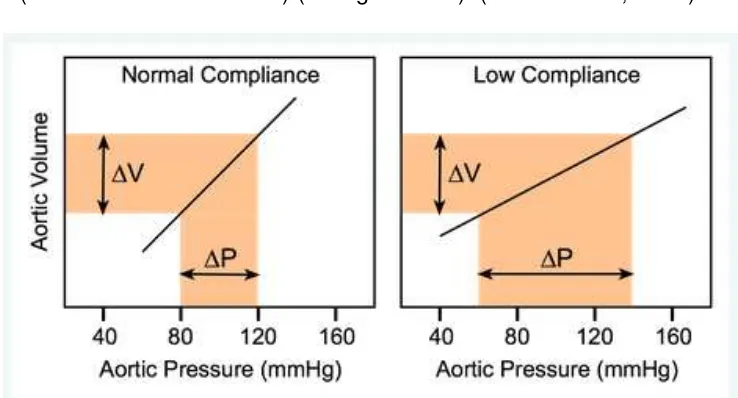 Gambar 1. Hubungan antara perubahan volume aorta dan tekanan aorta ditingkatkan ketika Sumber: Richard E.K