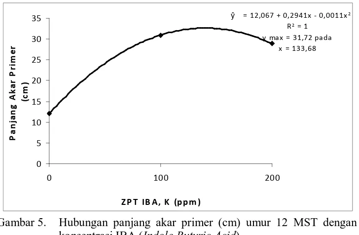 Gambar 5.  Hubungan panjang akar primer (cm) umur 12 MST dengan konsentrasi IBA (Indole Butyric Acid) 