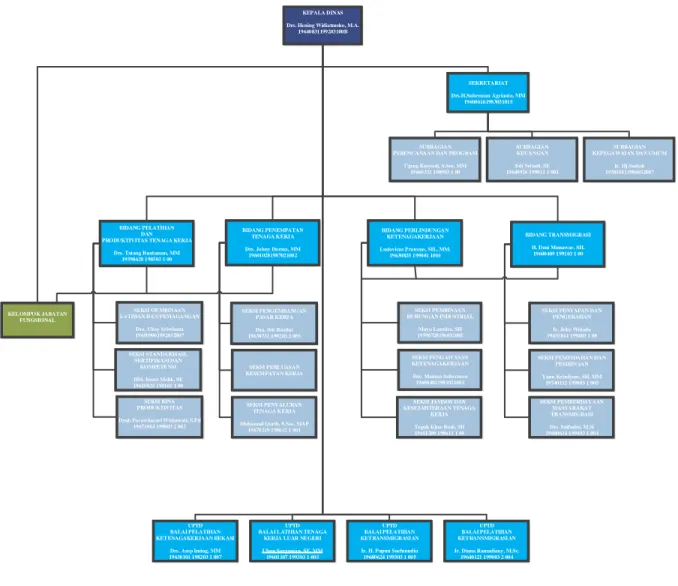 Gambar 3.1 Struktur Organisasi Dinas Tenaga Kerja dan Transmigrasi Provinsi  Jawa Barat 