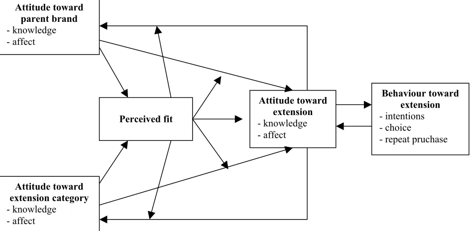 Figure 1 Basic Model of the Extension Evaluation Process 