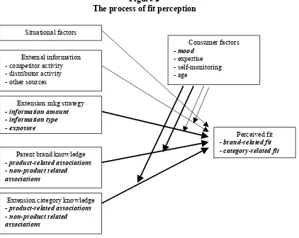 Figure 2 The process of fit perception 