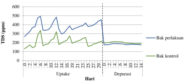 Gambar 4.7 Pengukuran rata-rata Total Dissolved Solid pada tahap uptake dan  depurasi  