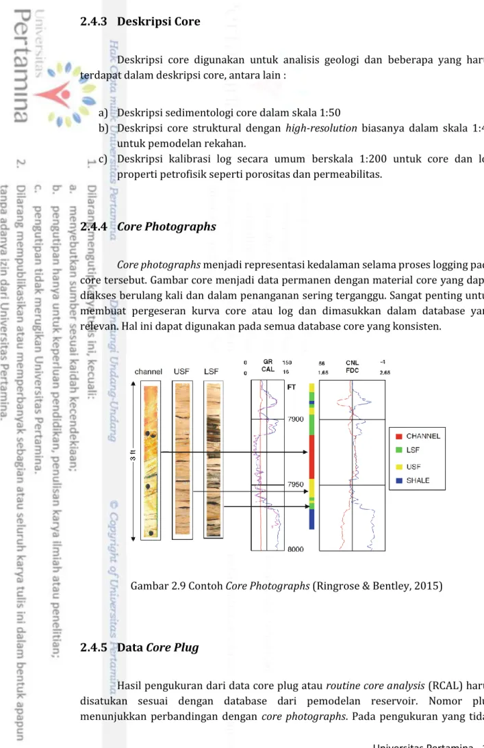 Gambar 2.9 Contoh Core Photographs (Ringrose &amp; Bentley, 2015) 