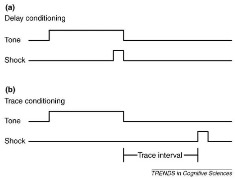 Figure I. Delay and trace conditioning. In classical conditioning, a previously