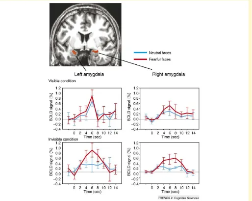 Figure I. Amygdala responses to invisible fearful and neutral faces. Bilateral amygdala responses to fearful faces (red) are independent of objective visibility, whereasthe responses to neutral faces (blue) are modulated by visibility