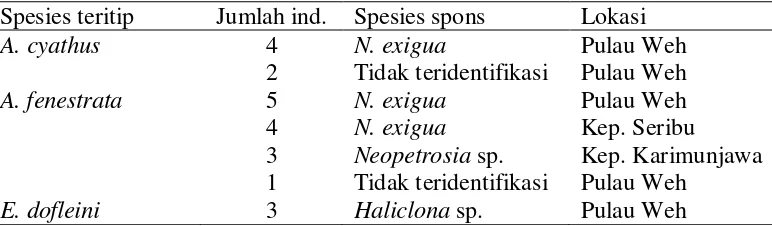 Tabel 1 Spesies teritip dan Spesies Spons yang dikoleksi dari Pulau Weh, Kep Seribu, dan Kep Karimunjawa 