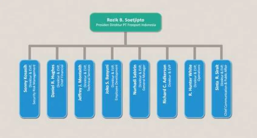 Gambar 1     Struktur Organisasi Freeport Indonesia