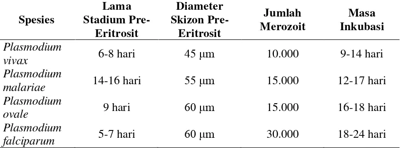 Tabel 2.1  Bentuk-Bentuk Plasmodium Keempat Spesies Plasmodium Manusia 