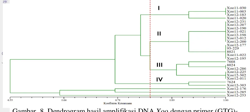 Gambar  8  Dendrogram hasil amplifikasi DNA Xoo dengan primer (GTG)5 